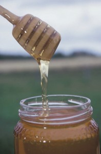 Jar of honey