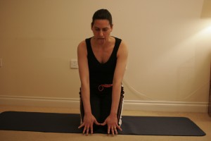 Simhasana - The lion yoga pose Simhasana - The lion yoga pose