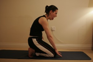 Simhasana - the lion yoga pose Simhasana - the lion yoga pose