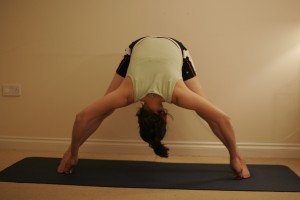 Intense Spread Leg Stretch Yoga Pose or Wide-Legged Forward Bend -  Prasarita Padottanasana