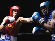 Plyometric boxing workouts