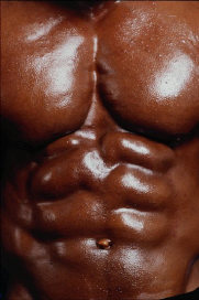 six pack ripped abs