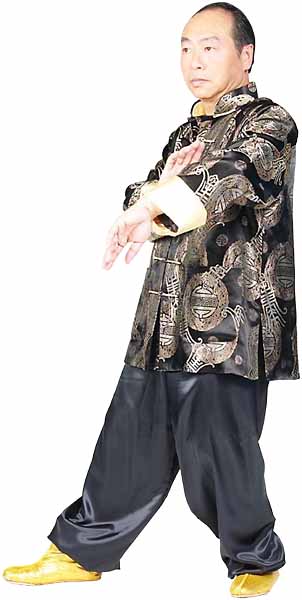 Tai Chi Chuan Form Photo