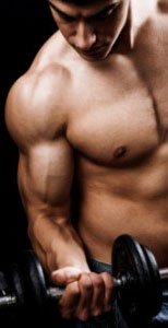 Learn how to build muscle for strength and fitness