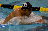 swimmer in pool doing butterfly